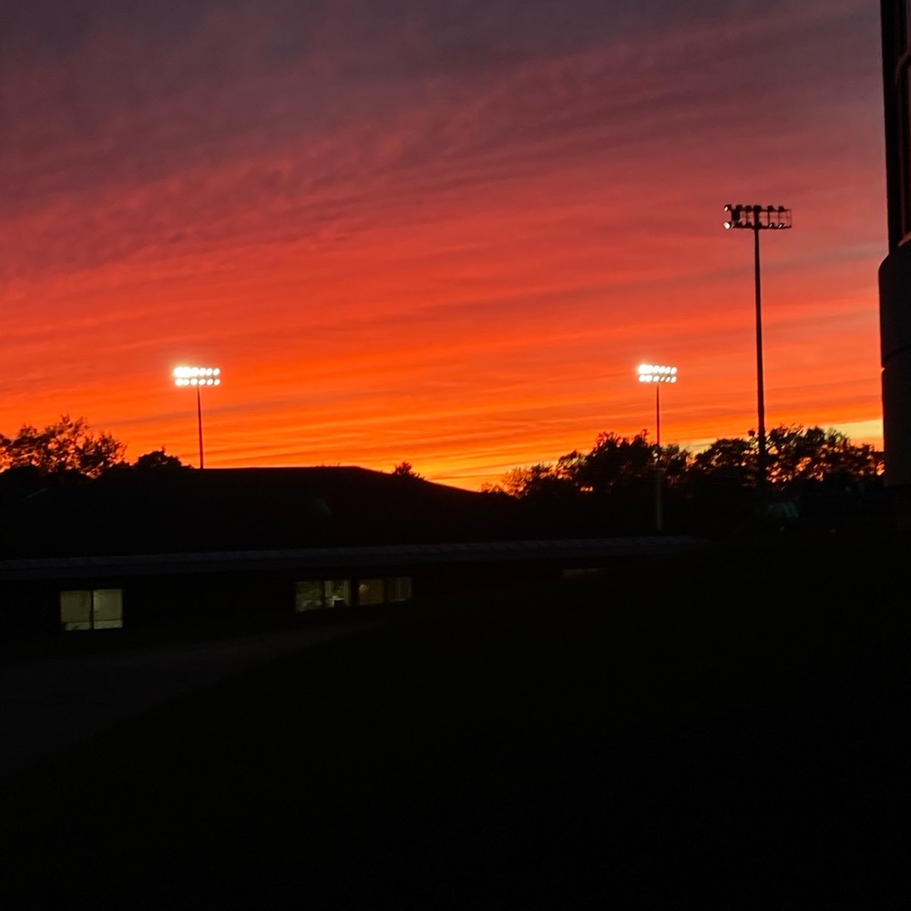 Meet your Posher, Enzo